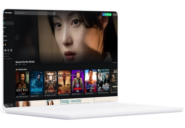 MovieBOx Web 2